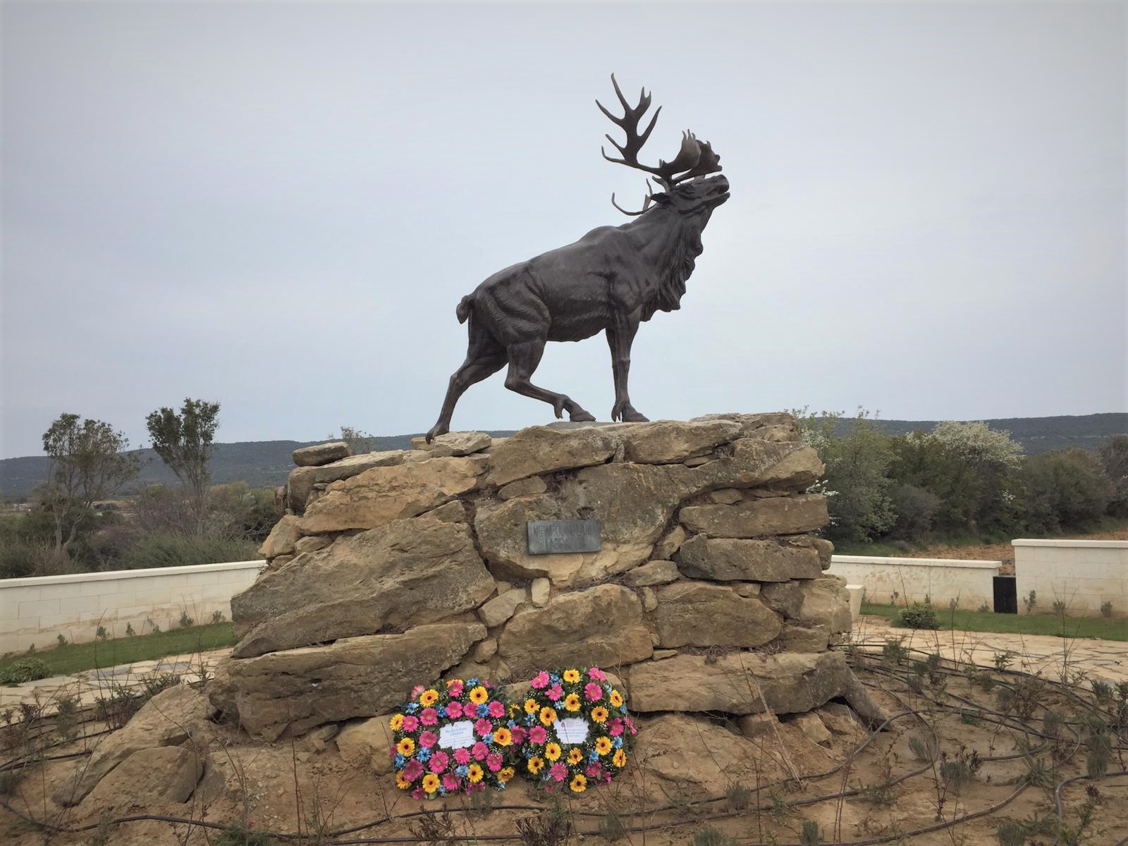 IceCaps Commemorate Royal Newfoundland Regiment With Tribute