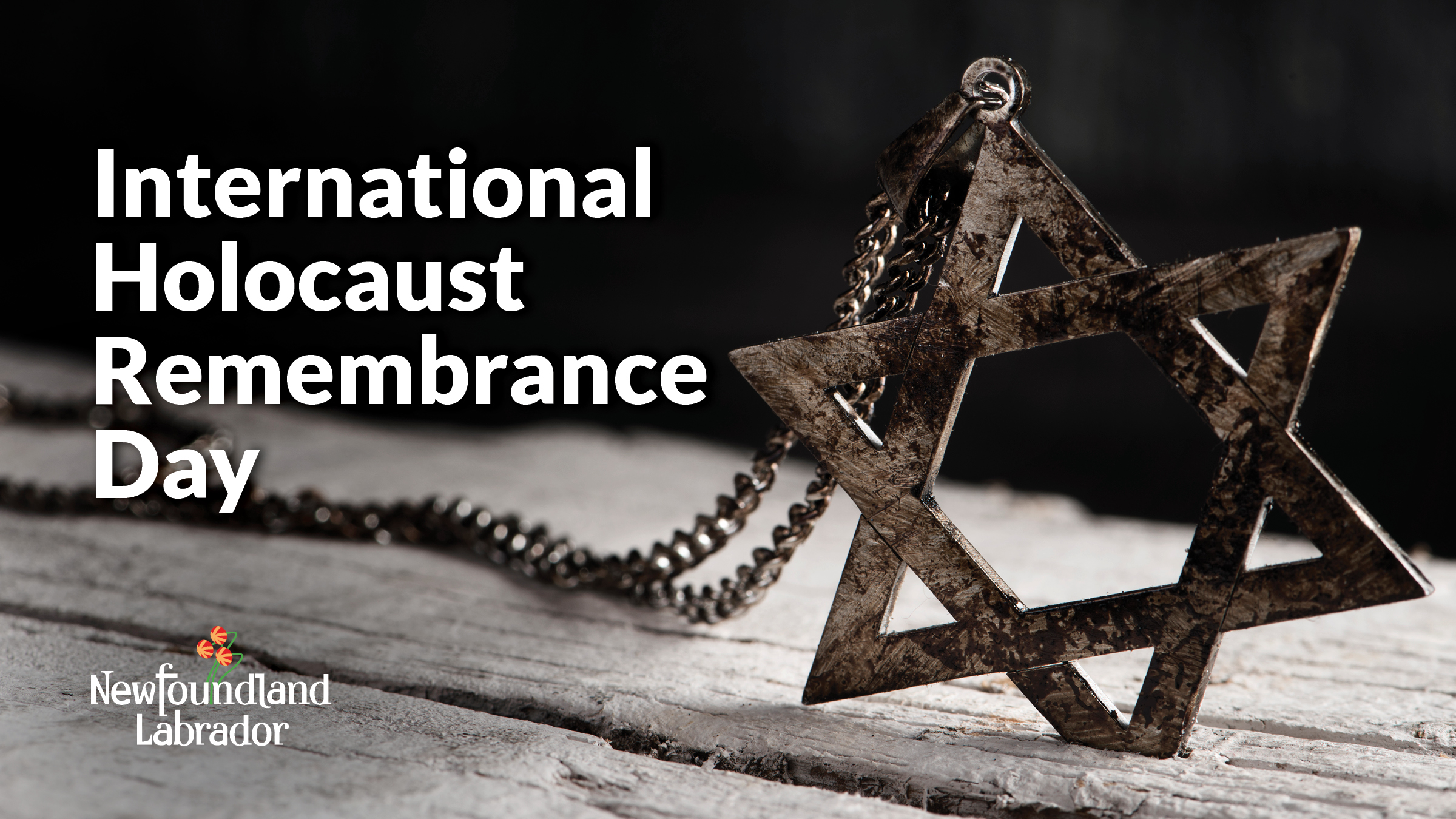 Joint Statement on International Holocaust Remembrance Day News Releases