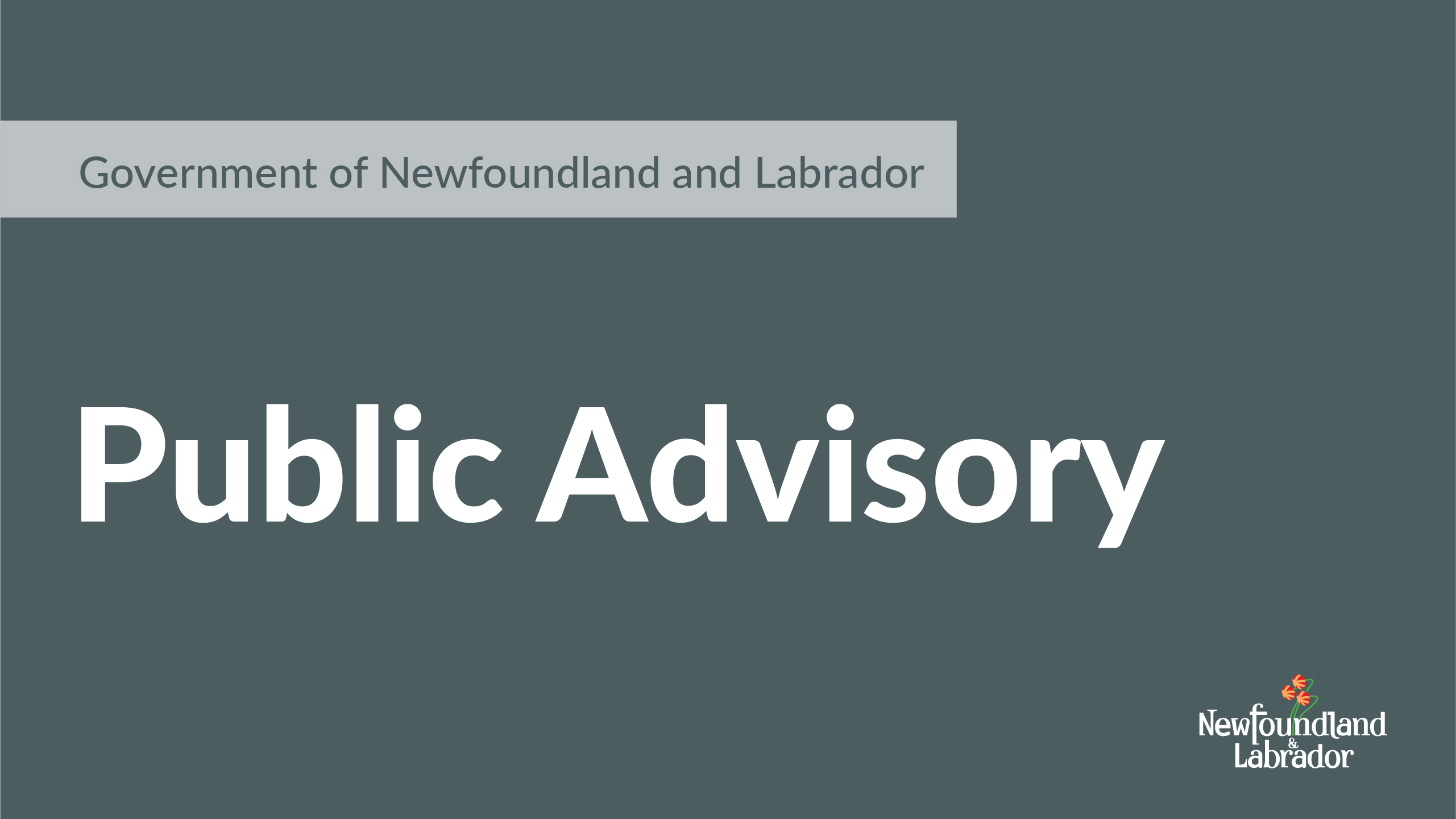 plain grey graphic with the text public advisory