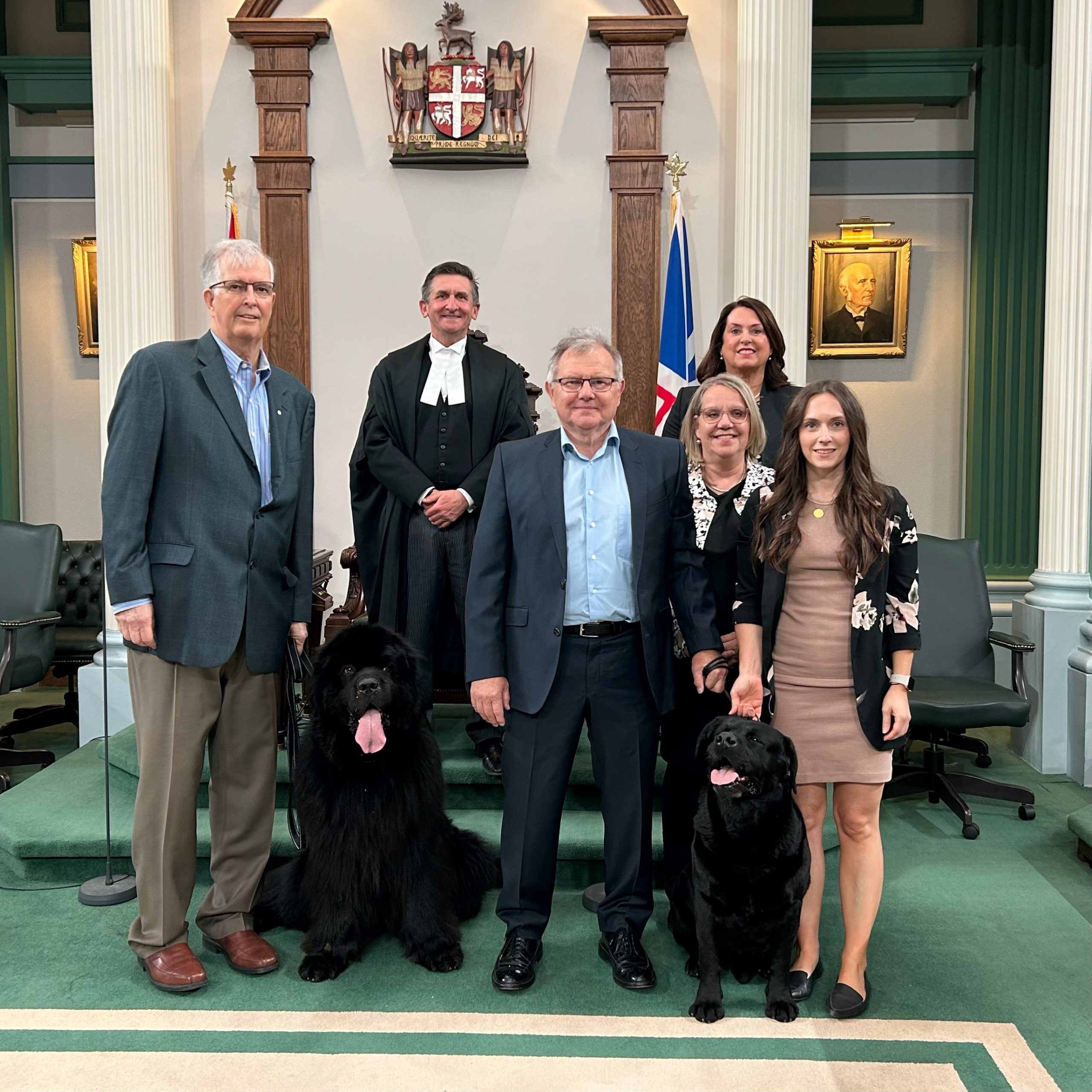 Night, the Newfoundland dog, and Beau, the Labrador Retriever, visited the House of Assembly. From left to right: Rob Crosbie, Speaker Derek Bennett, Pat Coady, Pamela Squires, the Honourable Siobhan Coady, and Caitlin O’Brien-Dyke.