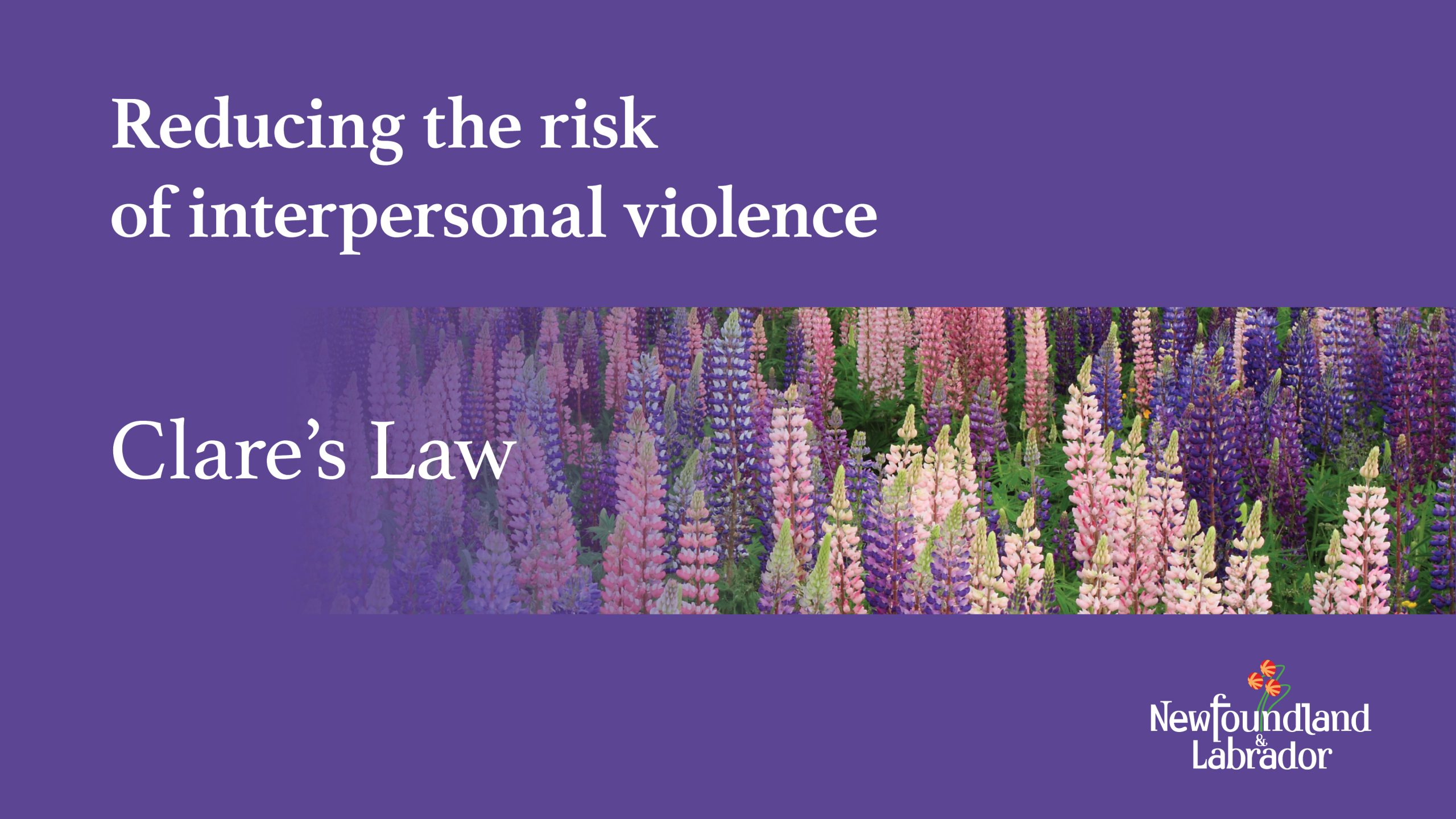 Interpersonal Violence Disclosure Protocol Act Proclaimed - News Releases