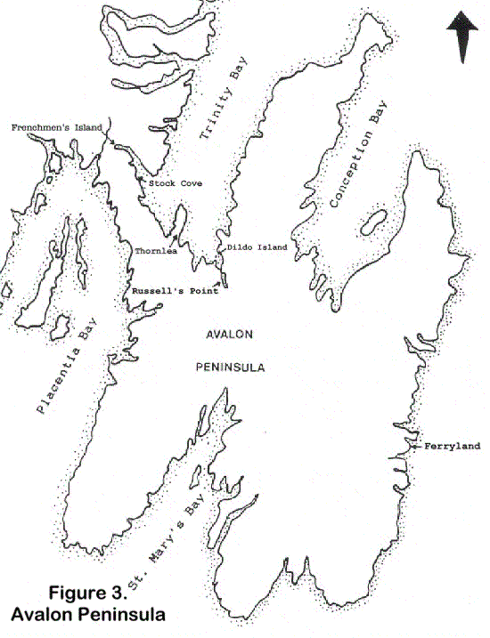Avalon Peninsula