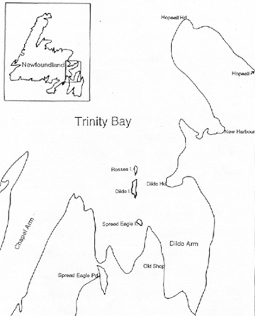 Bottom of Trinity Bay