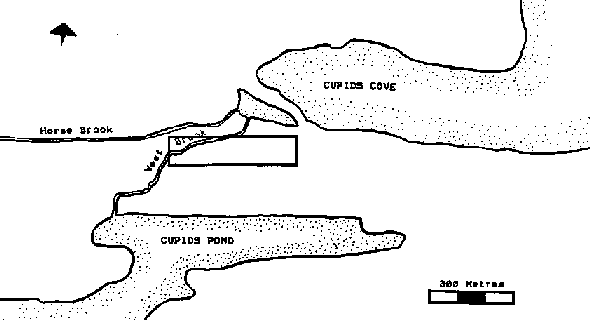 The original survey area as defined by information contained in the contemporary documents.