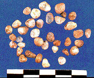 Small quartz pebbles from Gould Area