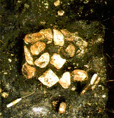 Boyd Area - Feature 3 (hearth)