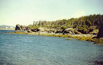 Shoreline in Vicinity of Foxhead. Looking North