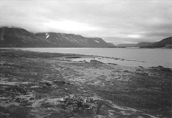 Nuvotanàluk-1 (IaCs-2), Site Overview, Towards W.