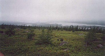 Snows Ridge; South View to Snows Pond