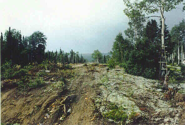 Ground Disturbance at Innu Camp West of Edward's Brook.