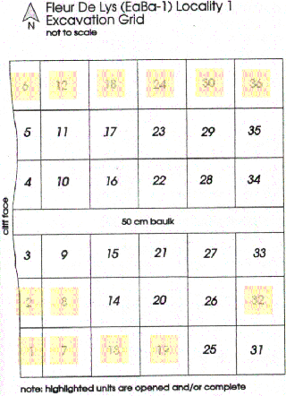 Fleur de Lys (EaBa-1) Locality 1 Excavation Grid