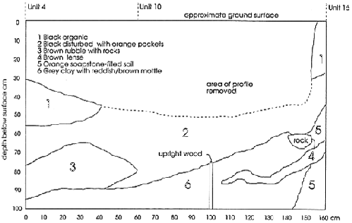 EaBa-1: North Profile of Units 4 & 10.