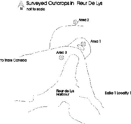 Surveyed Outcrops in Fleur de Lys