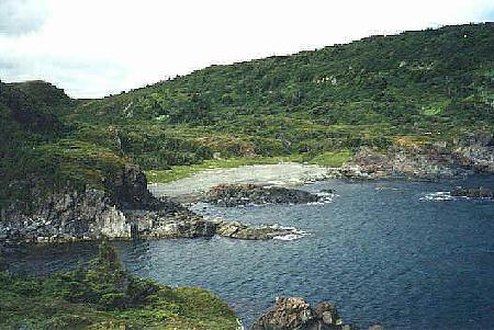 Cow Cove looking southwest. The area around the beach was tested; nothing was found.