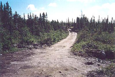  Existing Access Road to Proposed Cottage Development Area