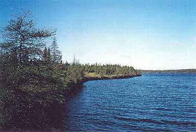 South shore of Stagg Pond; west view