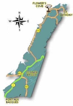 Flower's Cove Camera