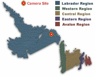 Location of Cartwright Junction Camera