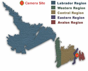 Location of Clarenville Camera