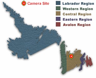 Location of Grand Falls - Windsor Camera