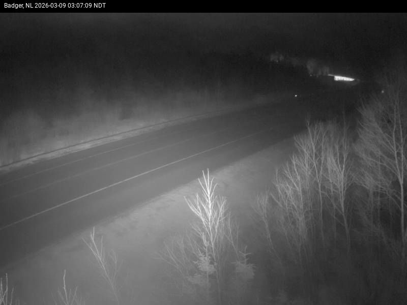 Badger Live Camera Image