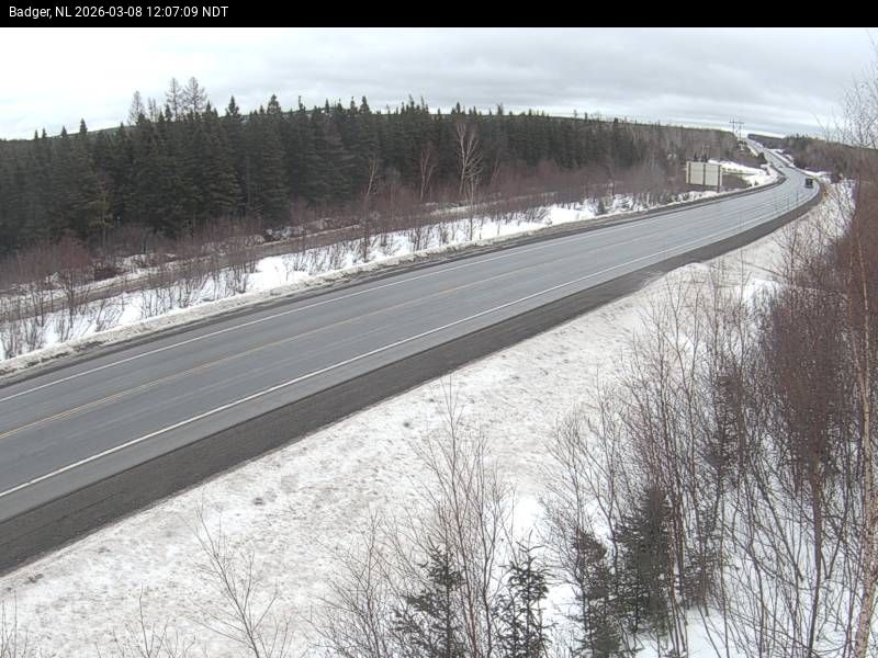 Badger Live Camera Image