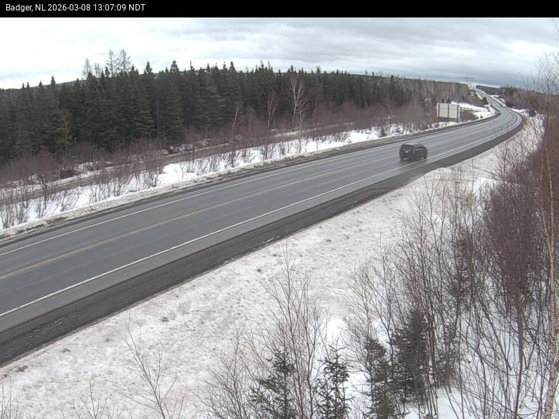 Badger Live Camera Image