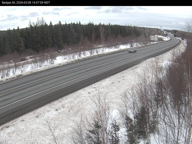 Badger Live Camera Image