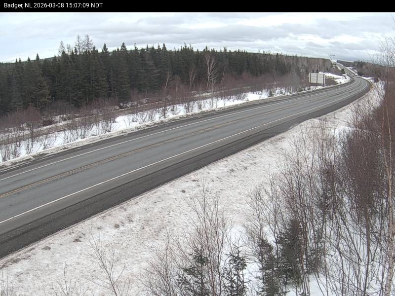 Badger Live Camera Image