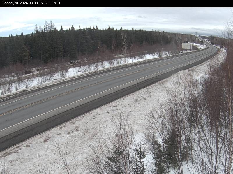 Badger Live Camera Image