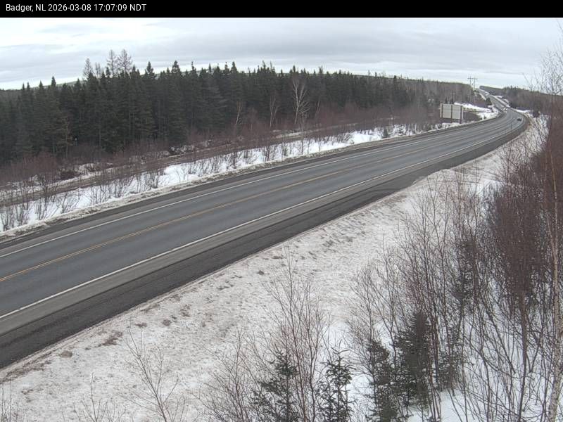 Badger Live Camera Image