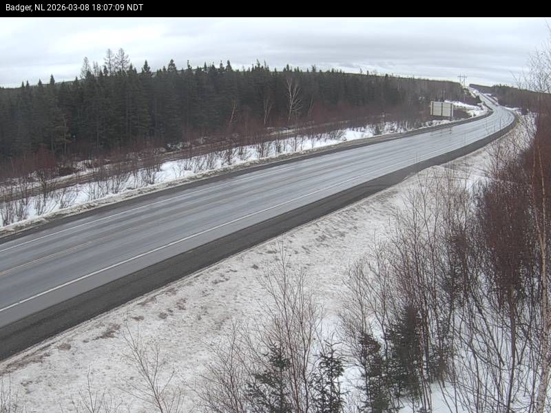 Badger Live Camera Image