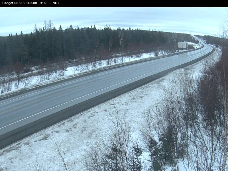 Badger Live Camera Image