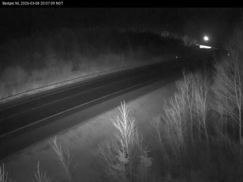 Badger Live Camera Image
