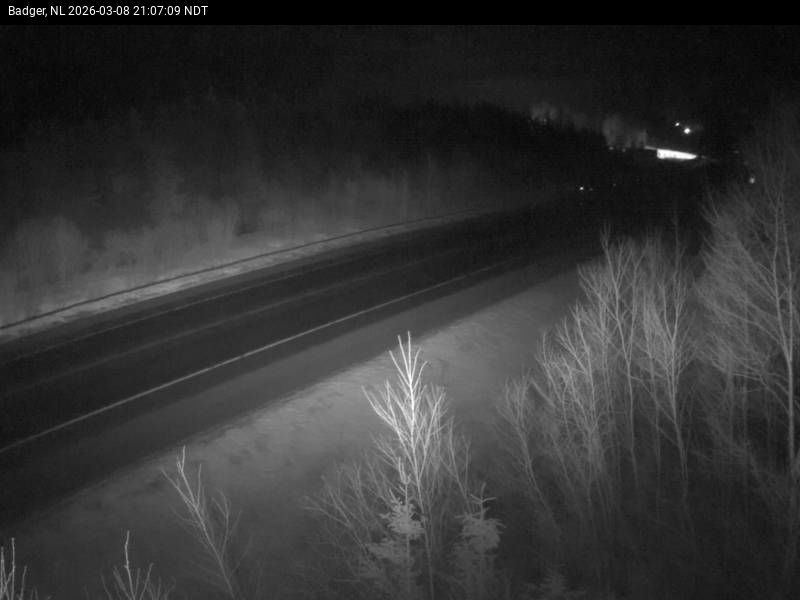 Badger Live Camera Image