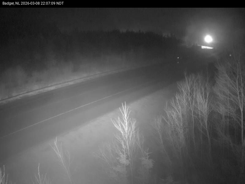 Badger Live Camera Image