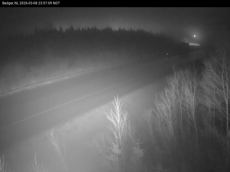 Badger Live Camera Image