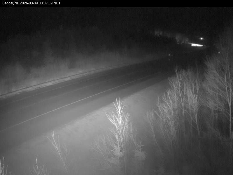 Badger Live Camera Image