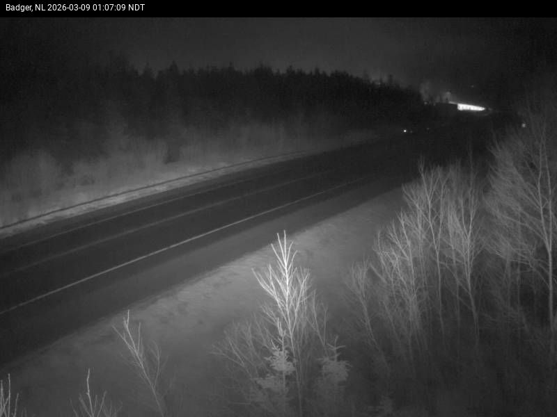 Badger Live Camera Image