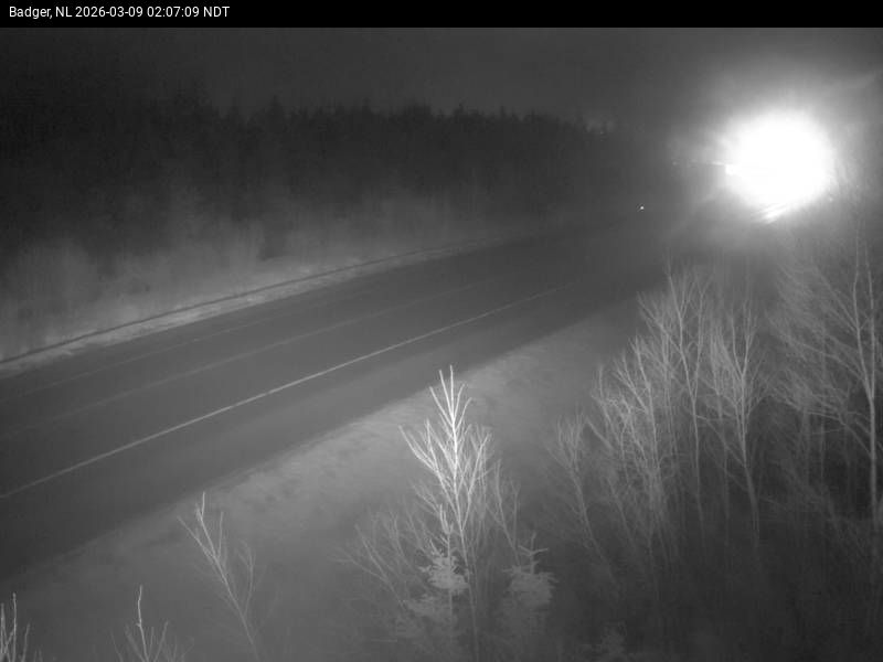 Badger Live Camera Image