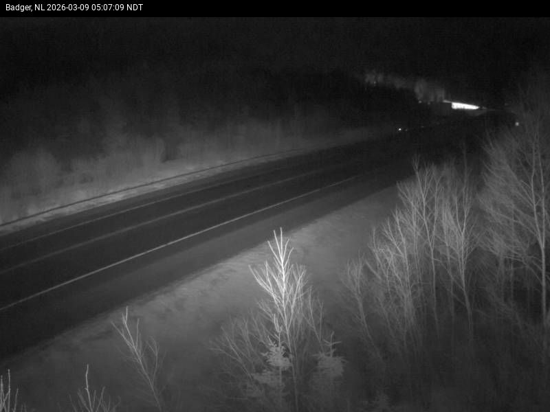 Badger Live Camera Image