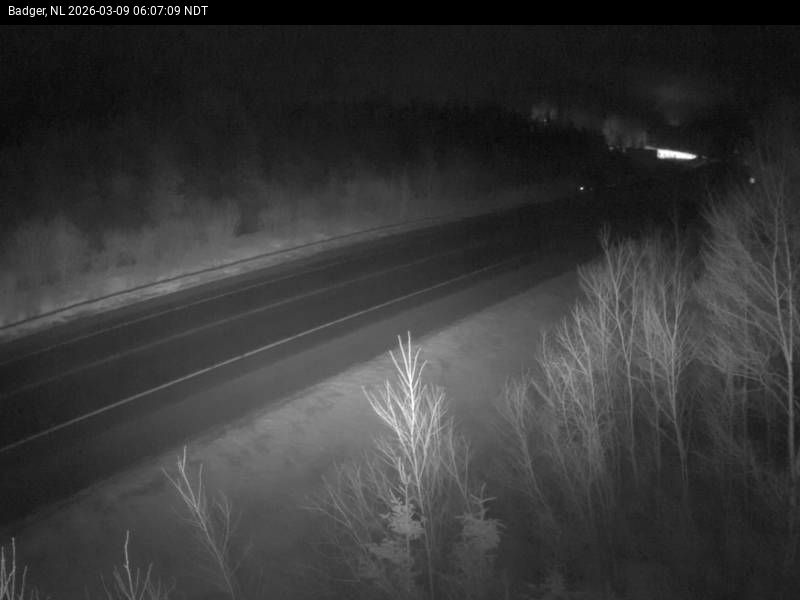 Badger Live Camera Image