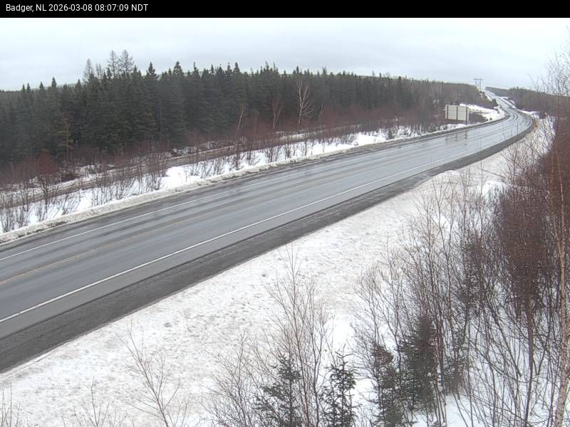 Badger Live Camera Image