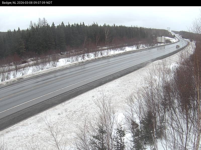 Badger Live Camera Image