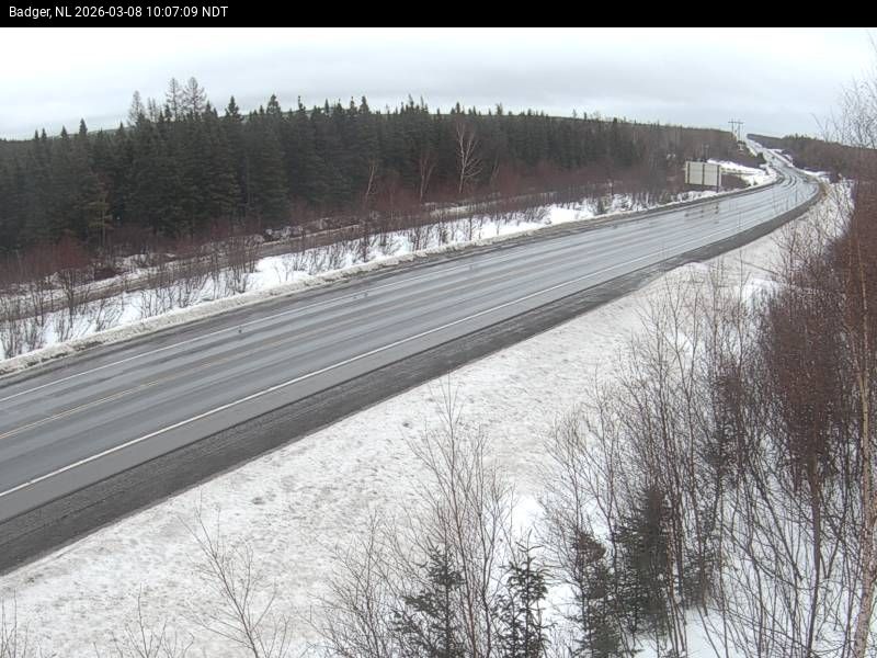 Badger Live Camera Image