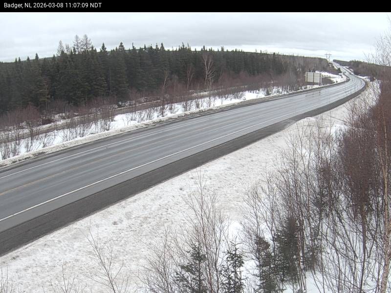 Badger Live Camera Image