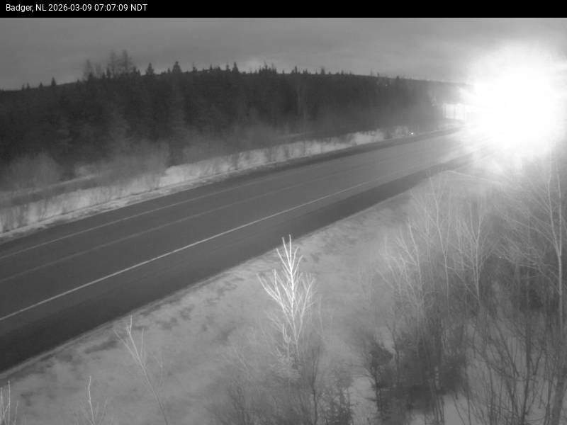 Badger Live Camera Image