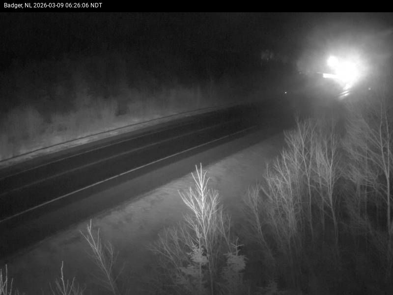 Badger Live Camera Image