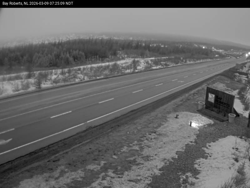 Bay Roberts Live Camera Image