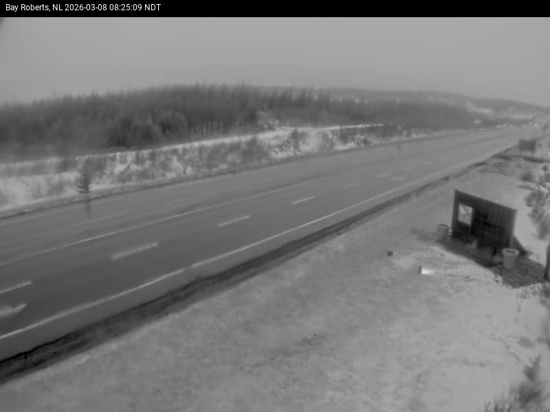 Bay Roberts Live Camera Image